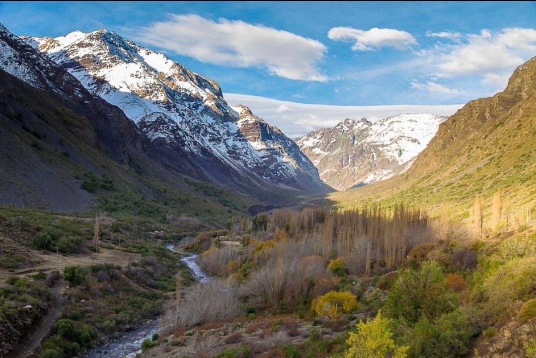 Valle del Cajón del Maipo con río, álamos y cumbres nevadas